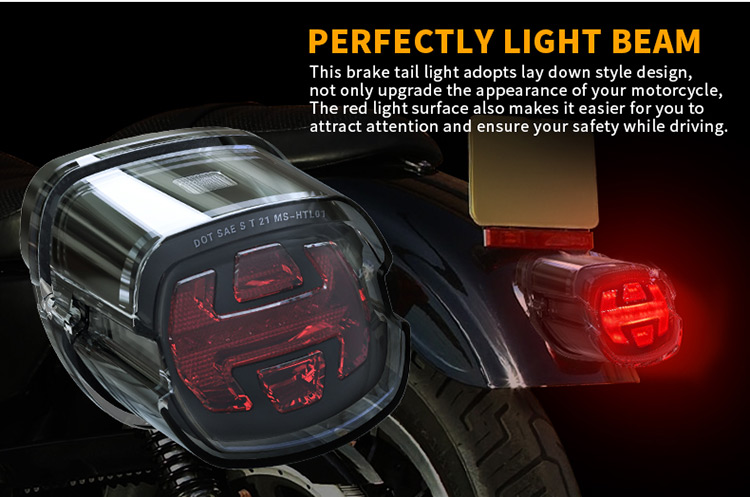 Faróis de substituição da lanterna traseira Harley Davidson Sportster
